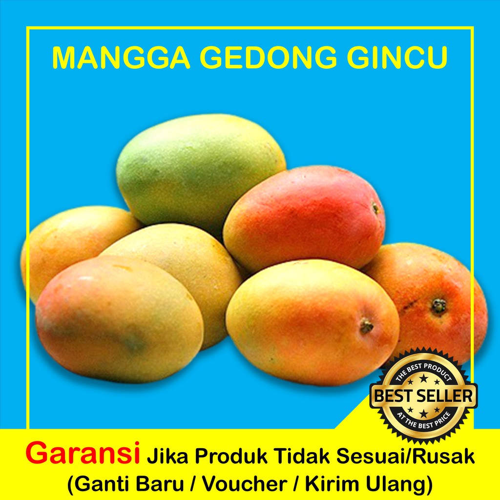 BUAH MANGGA GEDONG GINCU MERAH SUPER | MANGGA GEDONG SEGAR MANIS 1KG