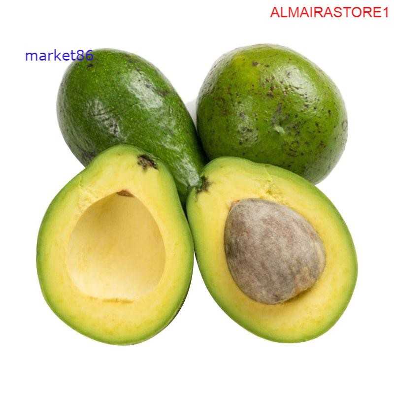 

Grosir Buah Segar FRESH Alpukat Mentega 500 Gram murah - Fwbogor - Wfbogor.