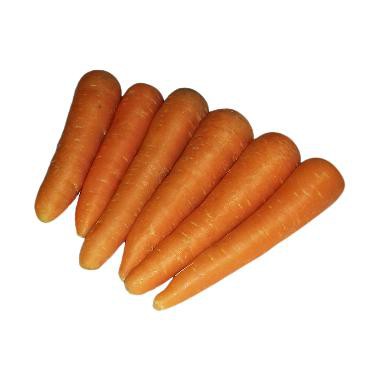 

Wortel Besar 1 kg