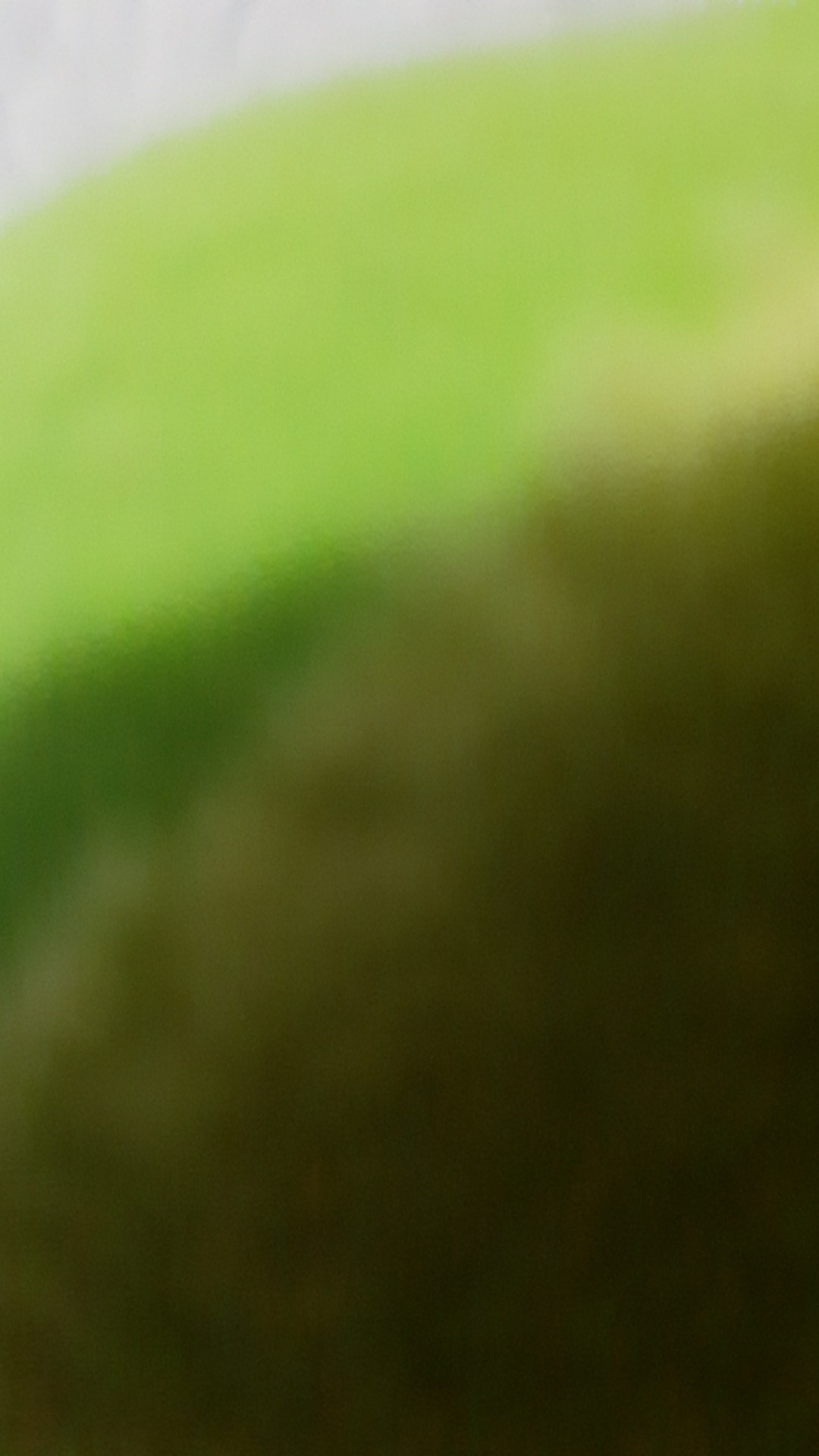 Konektor Masker Tampa Karet Dalam Buat Hijab Dan Gak Hijab Bisa Ya