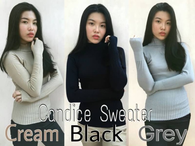 Candice Sweater / Basic Sweater / Sweater Rajut Wanita / Turtleneck Roundhand Sweater