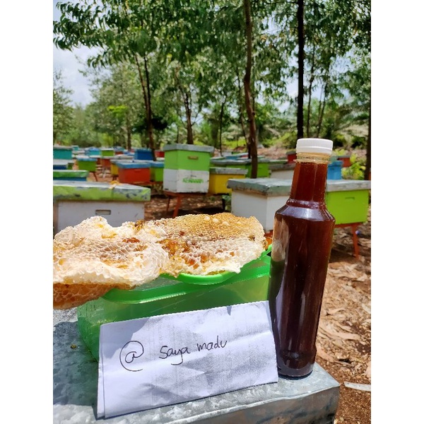 

[Original] Madu Hutan Tropis dan Akasia ( 250 gram-50 kg)
