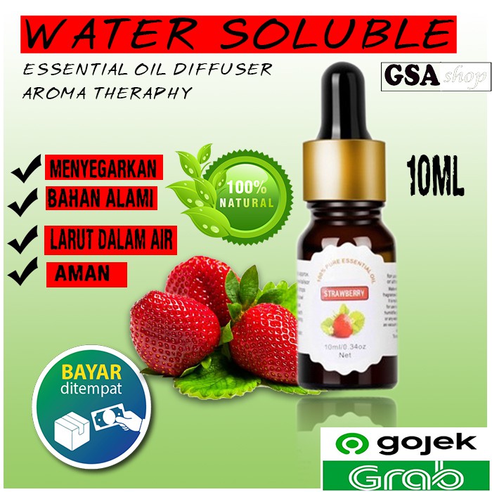 ESSENTIAL OIL AROMATHERAPY DIFFUSER PENGHARUM HUMIDIFIER YOUNG LIVING MINYAK ESENSIAL AROMATERAPI 01