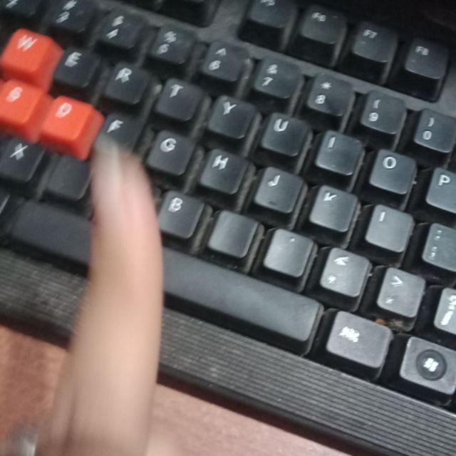 Mini Coffee Egg Mixer - Pengaduk Kopi Telur Susu Elektrik