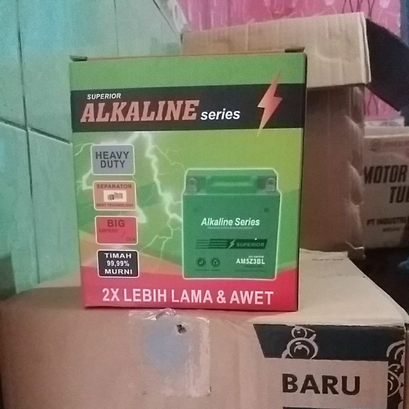 Aki ALKALINE AM5Z3BL