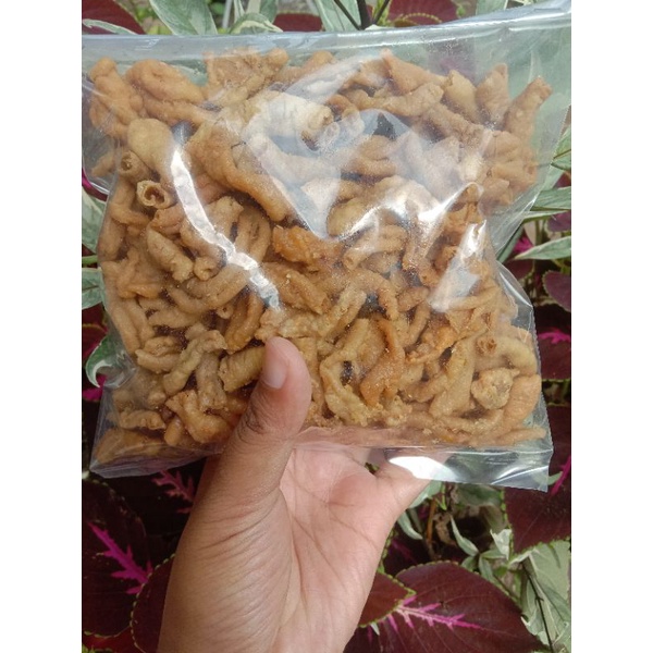 

Usus Ori
