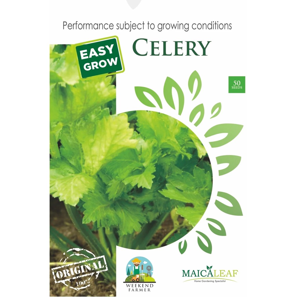 Benih Seledri/Bibit Sayuran Seledri isi 50 Benih