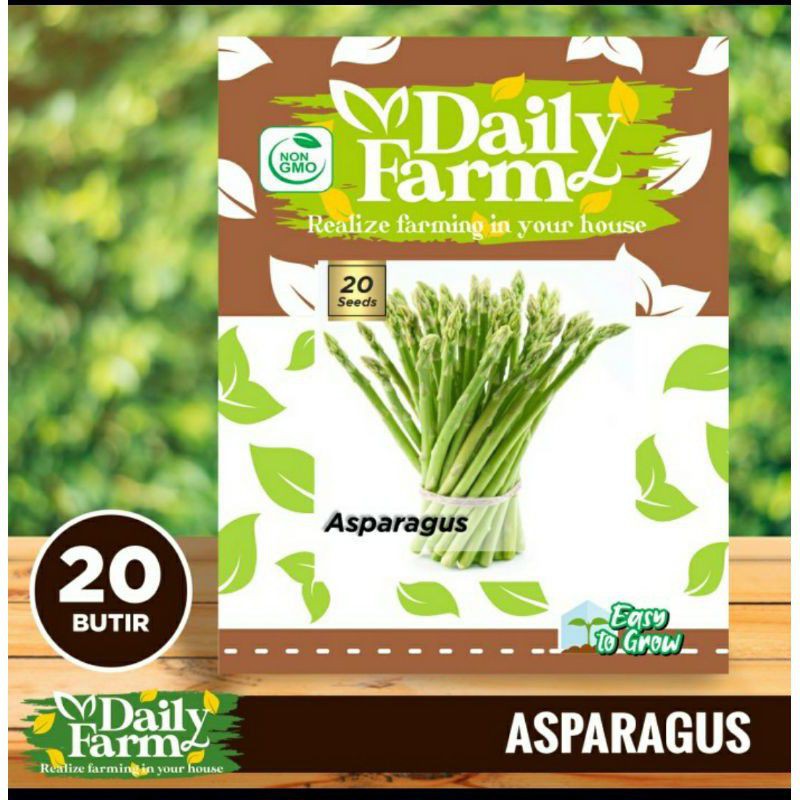 Bibit Benih sayuran ASPARAGUS 20 butir - Daily Farm Urban Farming Hidroponik-0