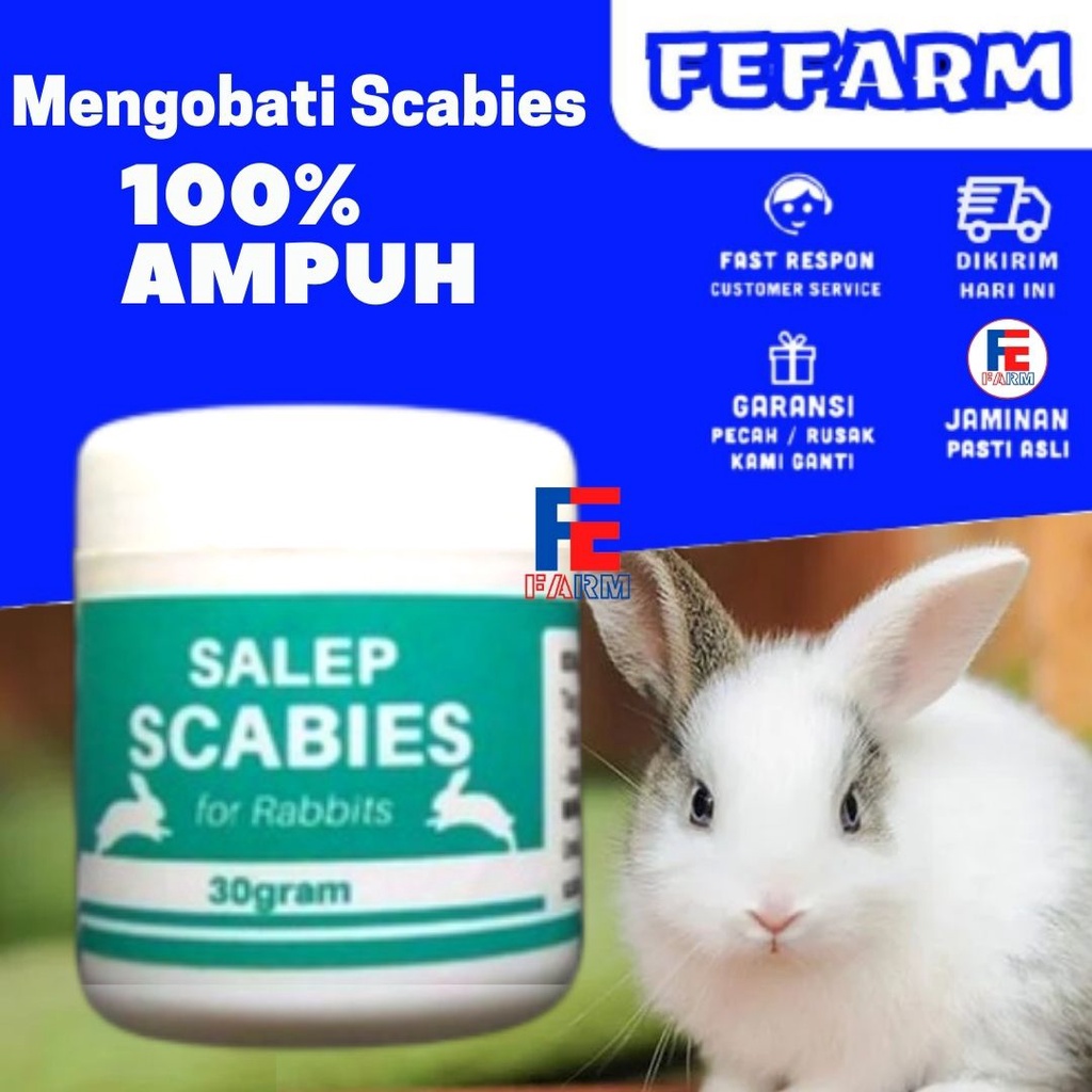 SALEP SCABIES OBAT JAMUR KELINCI SUPER AMPUH FEFARM