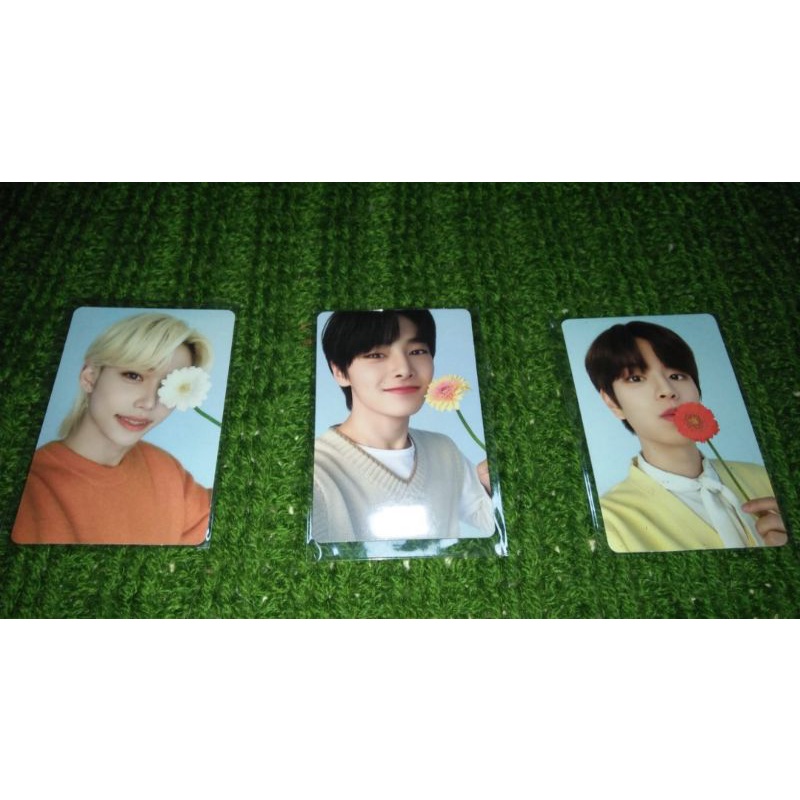 Nacific Photocard Stray Kids I.N R7 & Felix Seungmin IN R10