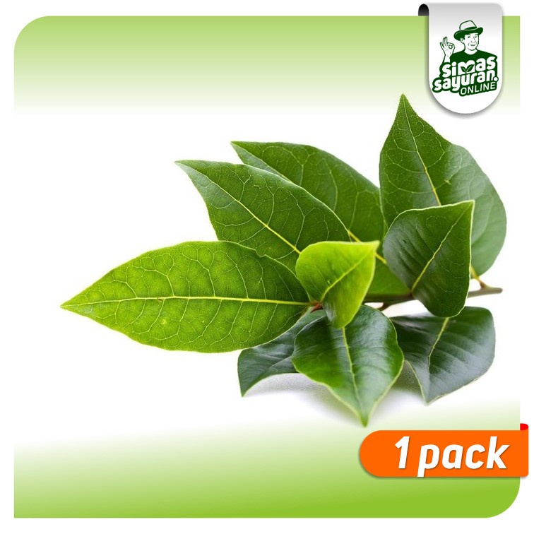 

Daun Salam 1 Ikat