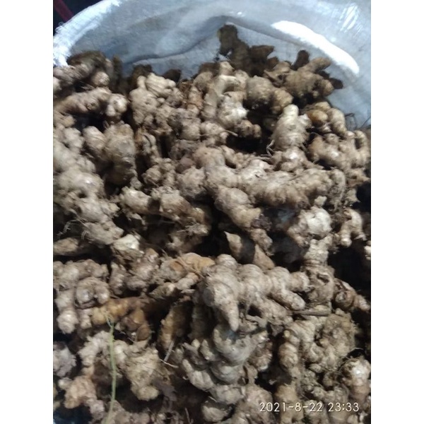 JAHE EMPRIT PILIHAN 1KG