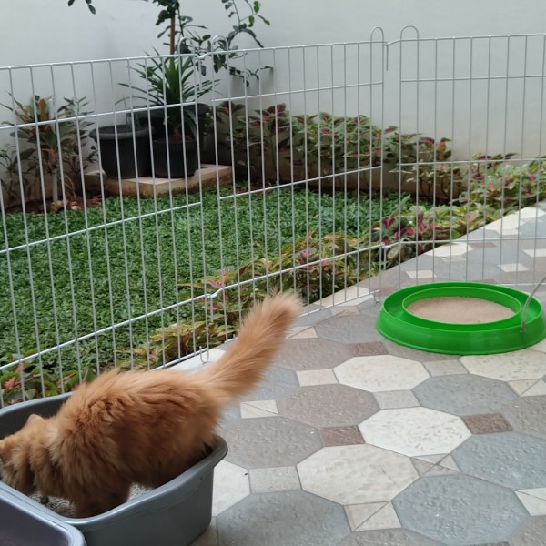 GUNINCO KANDANG HEWAN 60X50 Jumbo besi lipat besar pagar tanaman kelinci anjing kucing kecil murah-1