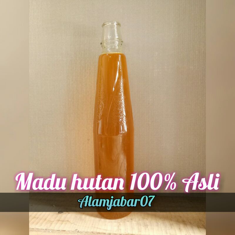 

PROMO!!! Madu hutan 100% Asli