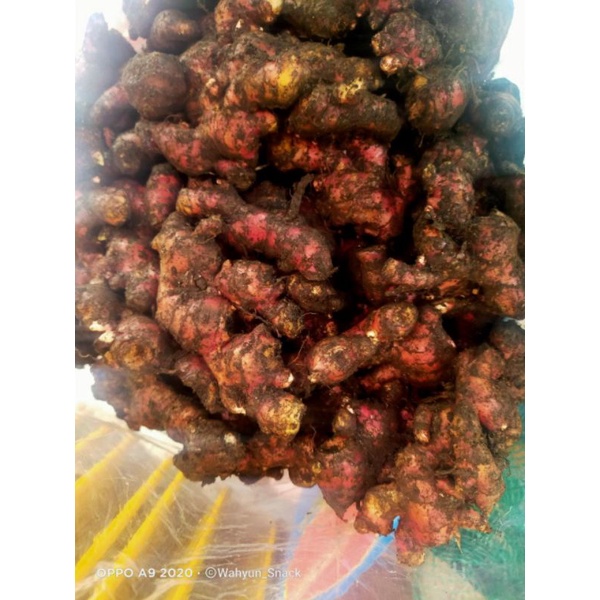 

Jahe Merah 1kg