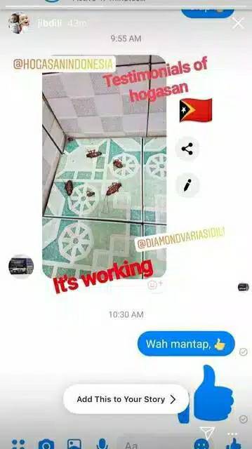 HOGASAN CAIRAN ANTI SEMUT ANTI SERANGGA ANTI RAYAP kecoa - JB