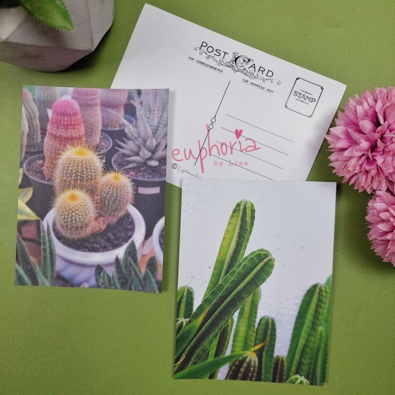 

Postcard (Kartu pos / Kartu ucapan ) KAKTUS