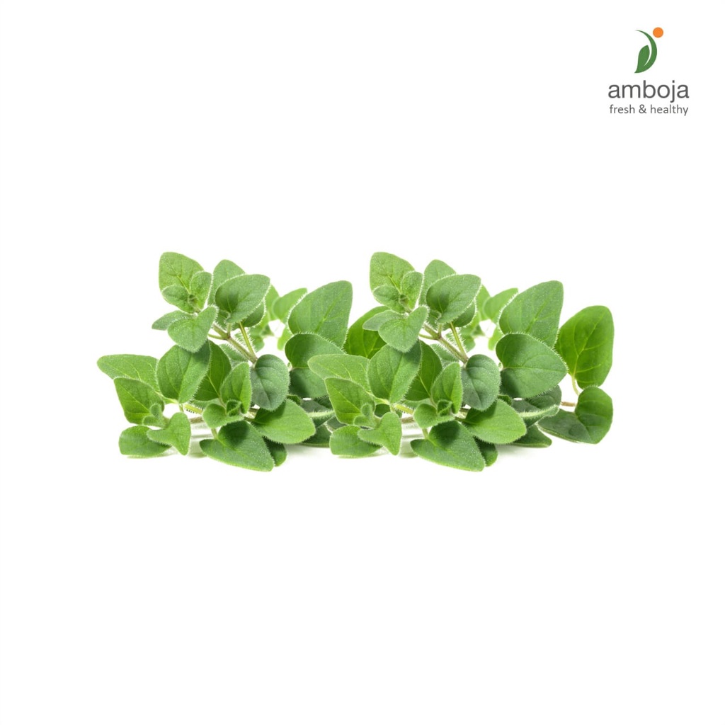 

Oregano 50gr, Daun Oregano Pack, Tanaman Herbal, Bumbu Masakan, Bummbu Dapur, Rempah