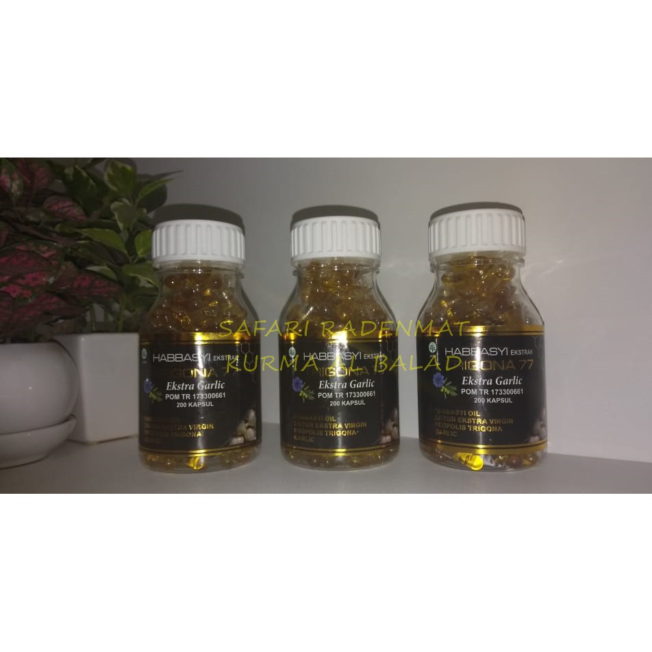HABBASYI ekstra TRIGONA 77 Ekstra Garlic 200 k