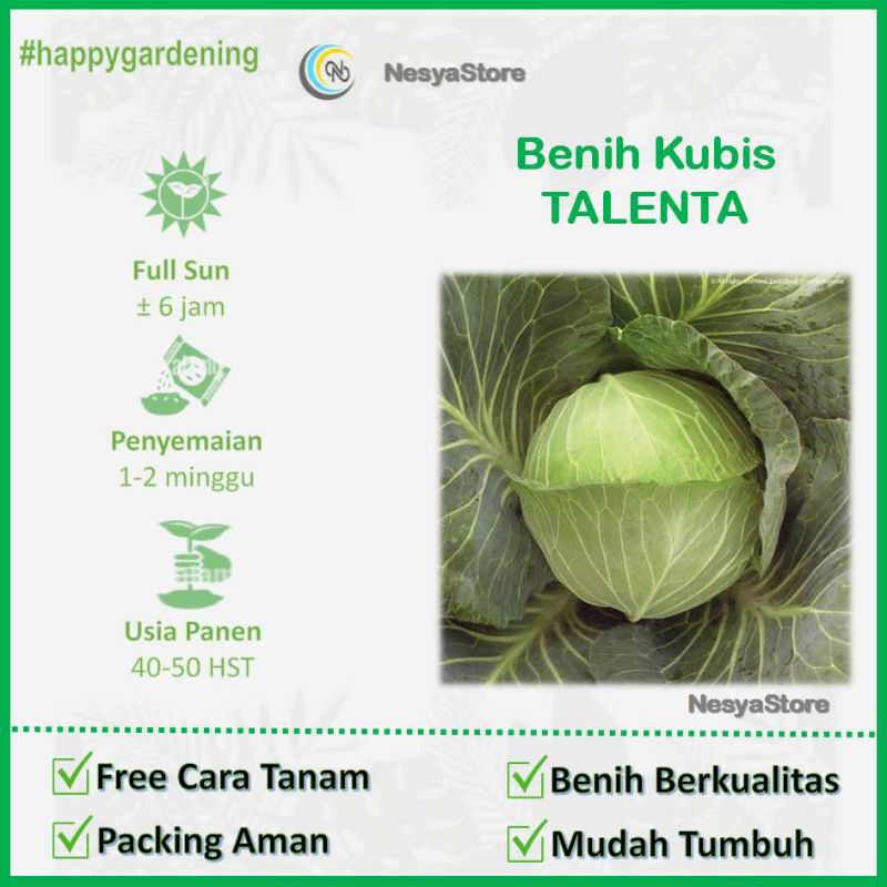 15 Biji Benih Kubis Sehati Cap Panah Merah - Biji Benih Sayur Repack Seribuan