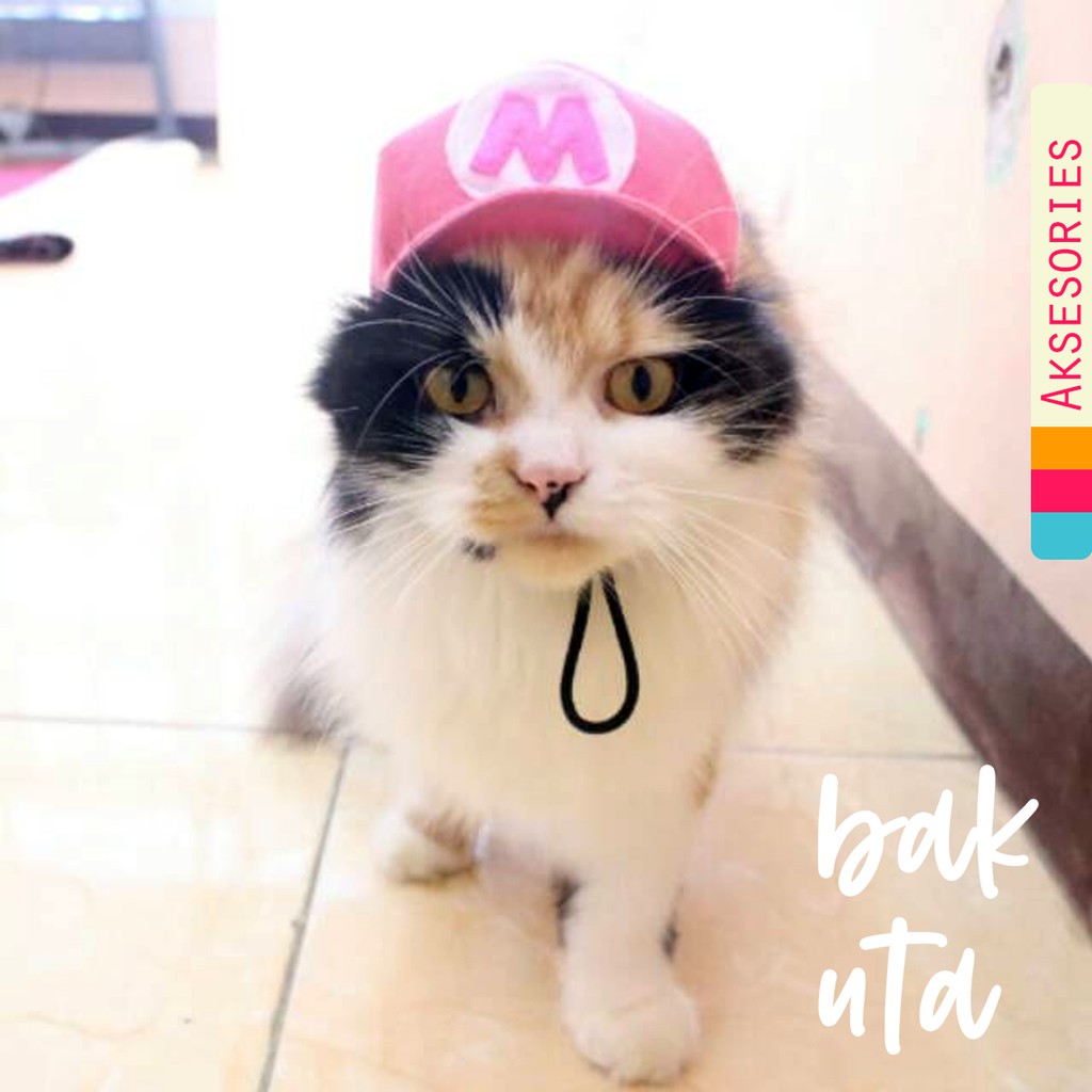 Topi mario lucu, inisial bisa dirubah / pilih warna dicatatan pembeli / baju kucing lucu