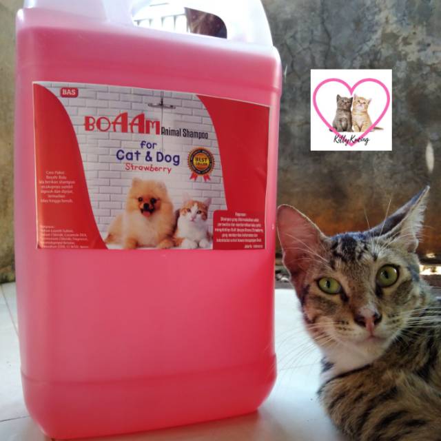 Grooming Shampo Kucing Anjing BOAAM 5 Litter