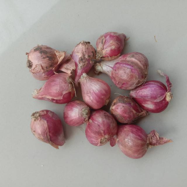 

Bawang Merah Campur Ukuran