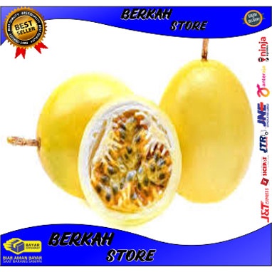 

BUAH MARKISA SEGAR 1 KG FRESHH