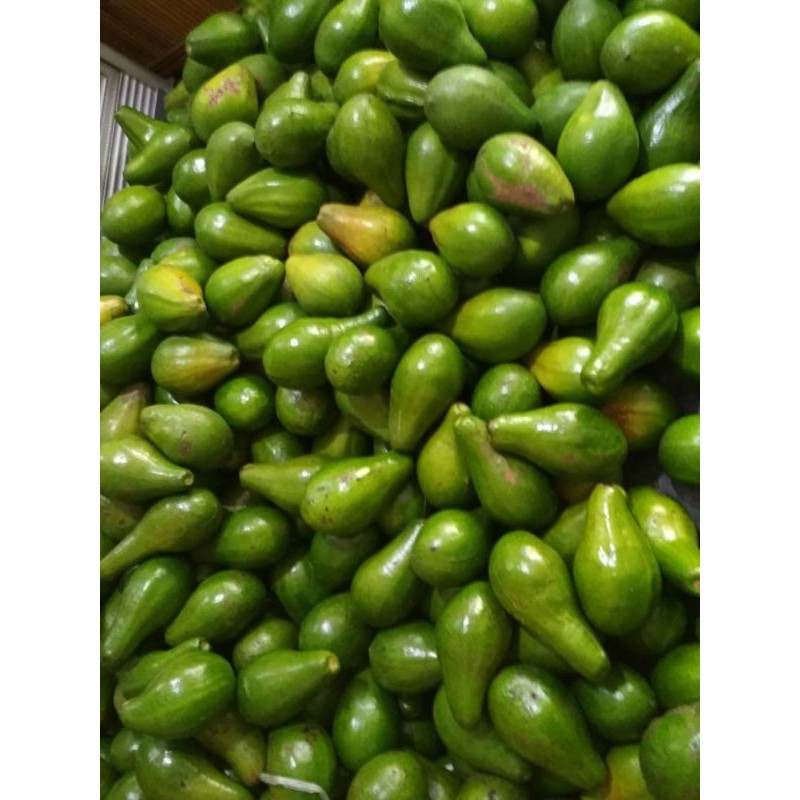 

Alpokat Mentega Linggau Regular Premium