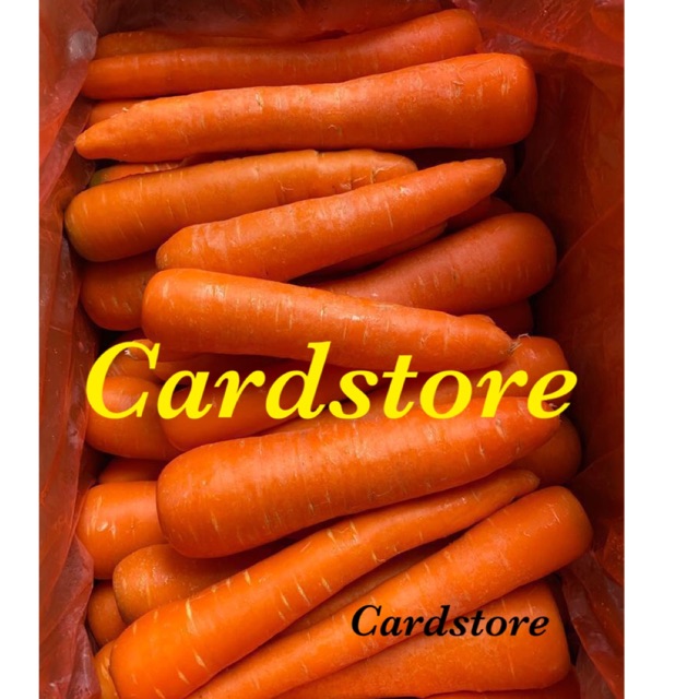 

Wortel Import Brastagi 1 Kg Best Quality Pasti Segar