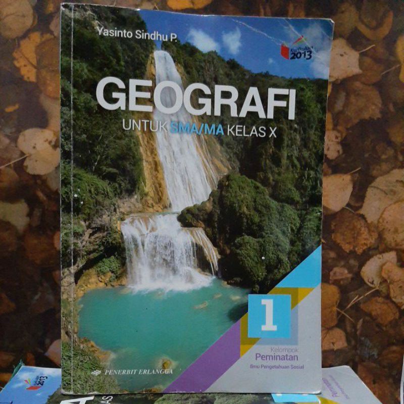 BUKU BEKAS Ori - Geografi SMA X Peminatan IPS ERLANGGA