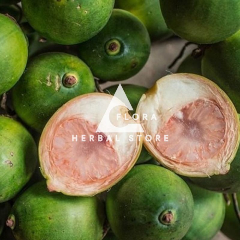 

Buah jebug I buah jambe muda I herbal berkhasiat