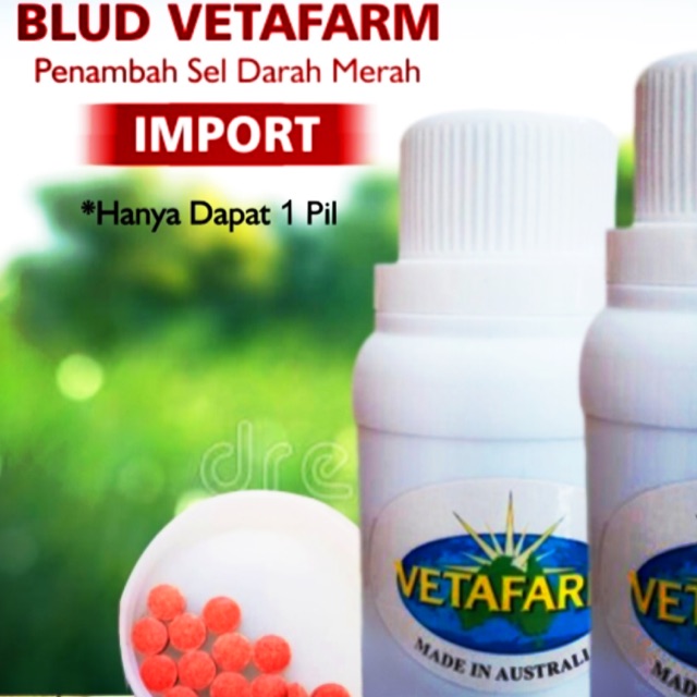 Vetafarm blud vitamin burung merpati import Australia