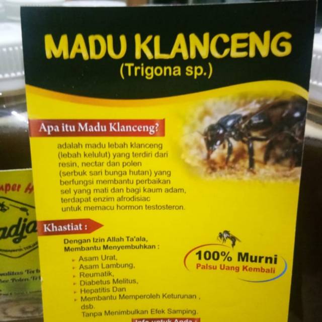 

Madu Klanceng ( Trigona sp.) Radja