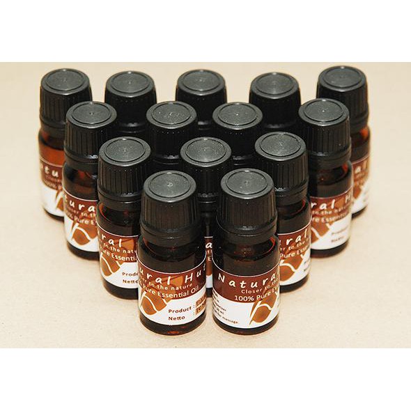 100% Pure Essential Oil (Sandalwood - Cendana) - 30Ml Terbaru