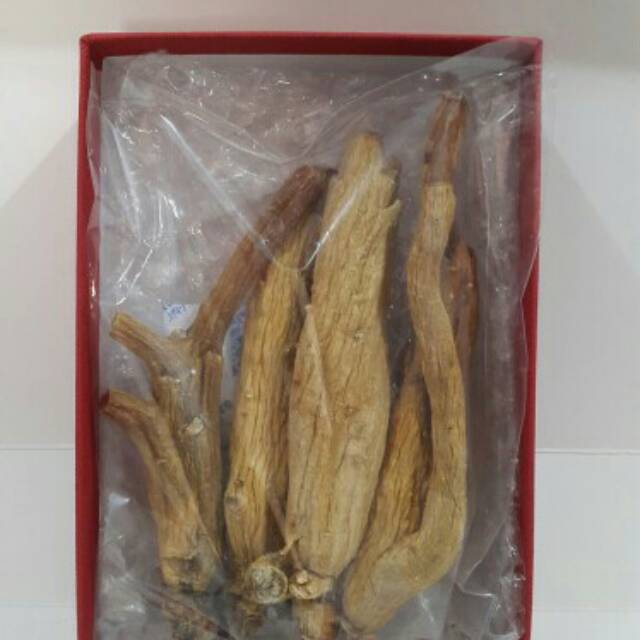 

Ginseng Korea Grade Super / Ginseng Taekuk Premium / Ginseng Korea 6 Tahun/ Ginseng Kualitas Super A