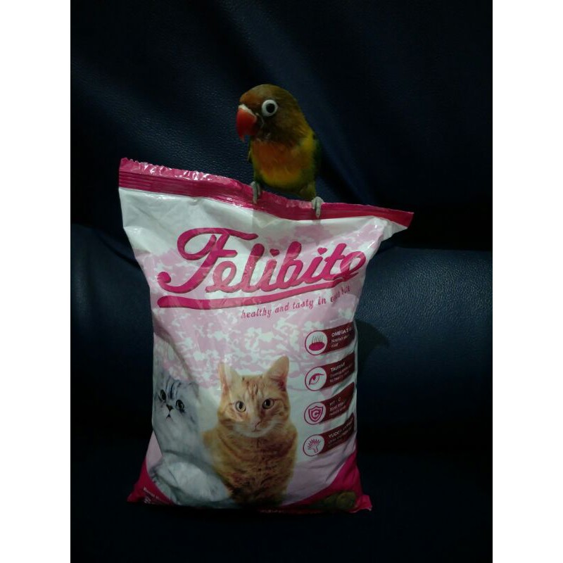 felibite/felibite pakan kucing repack 500 gram/felibite 500 gram