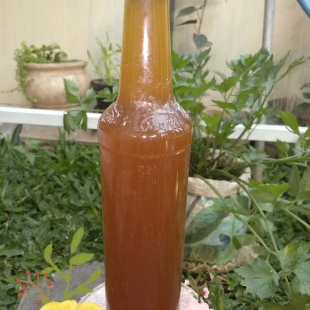 

Madu asli hutan baluran