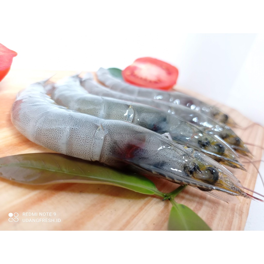

Udang Vaname Fresh Size 40an