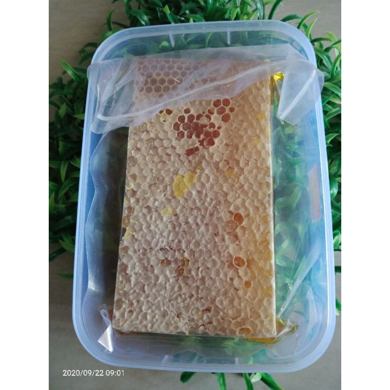 

MADU SARANG MELIFERA, COMB HONEY