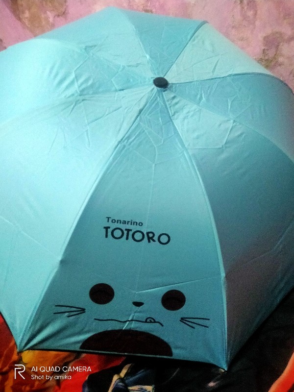 Nagoya Payung Lipat 4 Totoro Face
