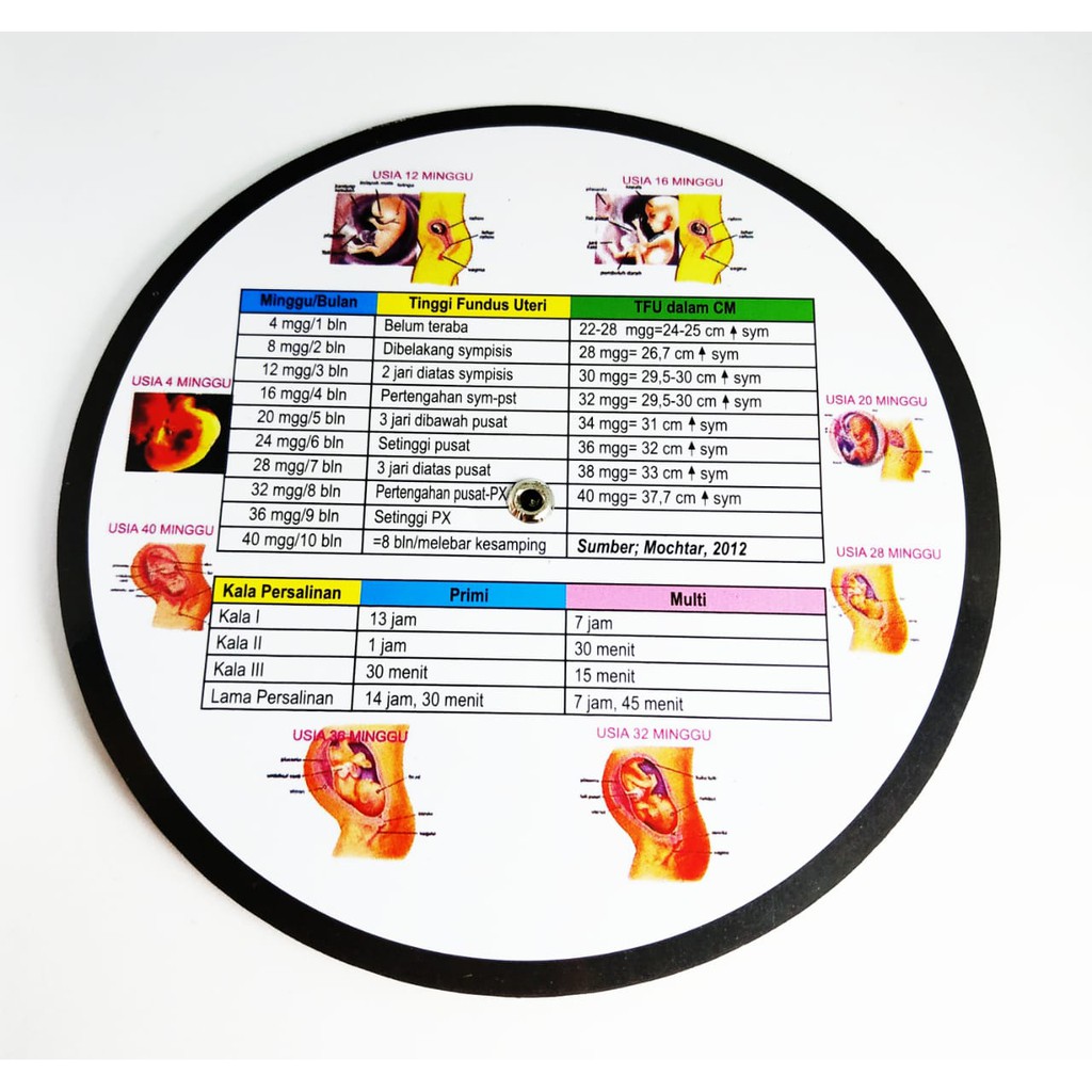 Freeongkir Linset Kalender kehamilan Kalkulator Kalender Hamil Putar Bentuk Lingkaran