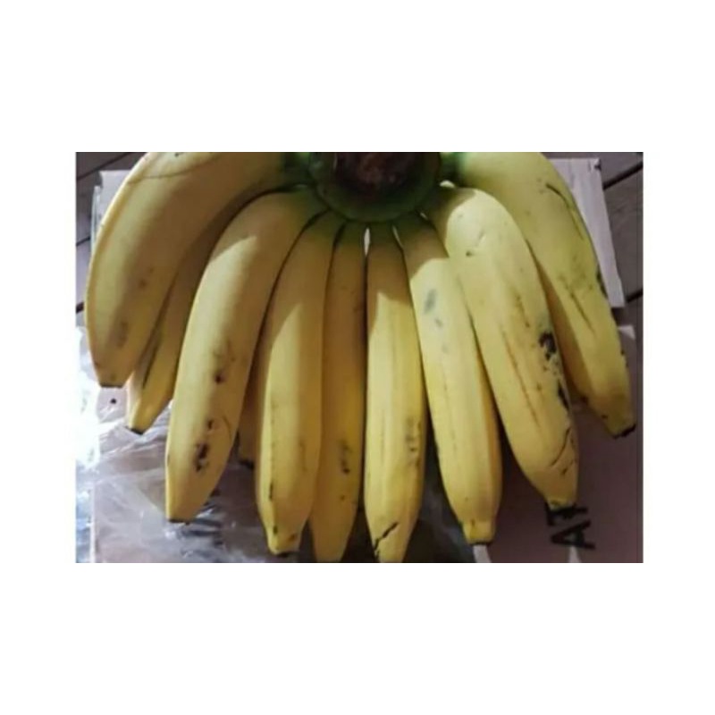 

Pisang ambon