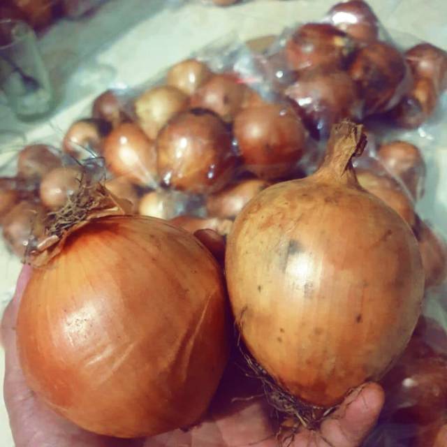 

Bawang bombay