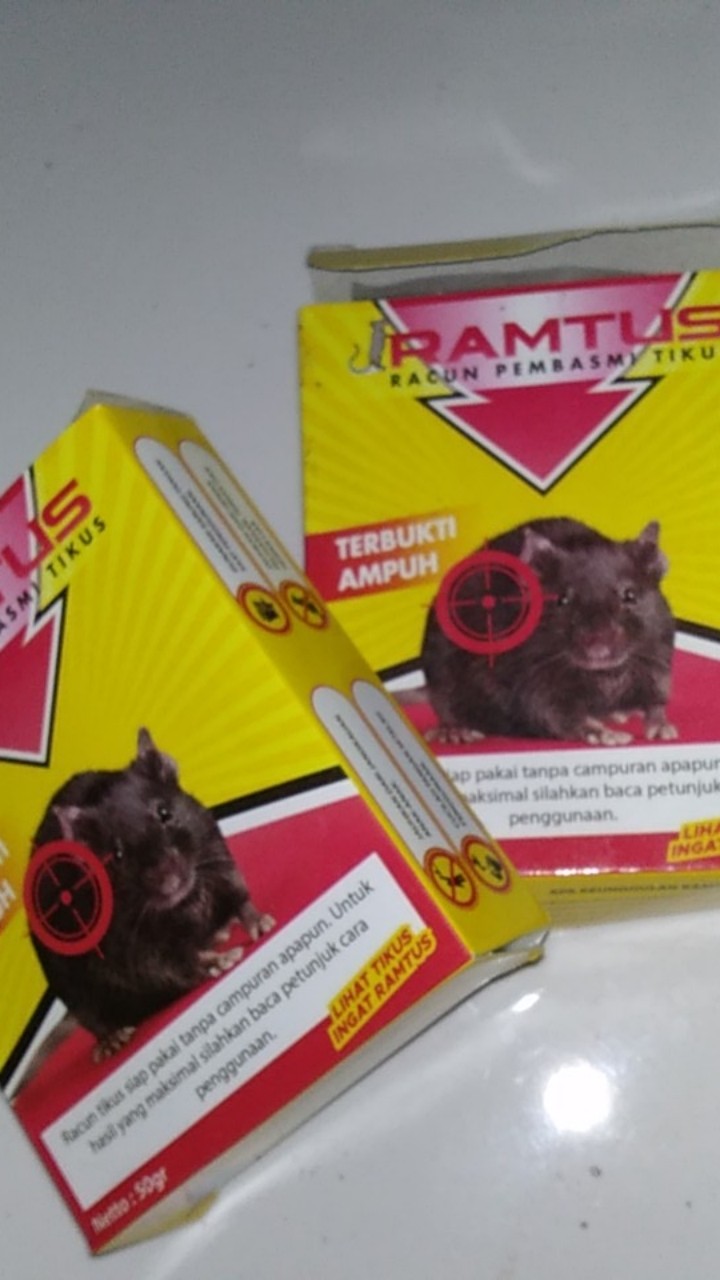 Ramtus Racun Tikus Ampuh Mati Kering Tidak Bau Pembasmi Curut Wirog Mencit Dirumah Di Mobil 2 Pack