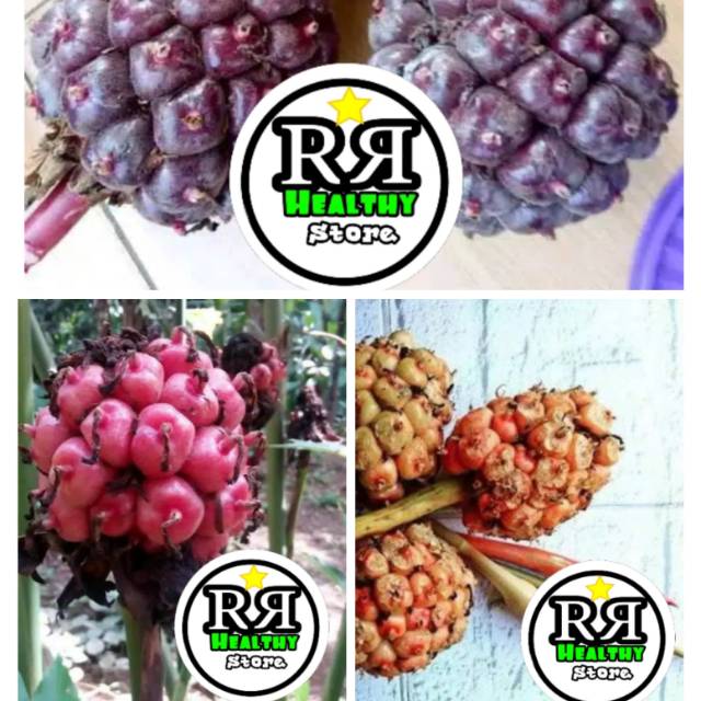 

Buah kecombrang/honje segar