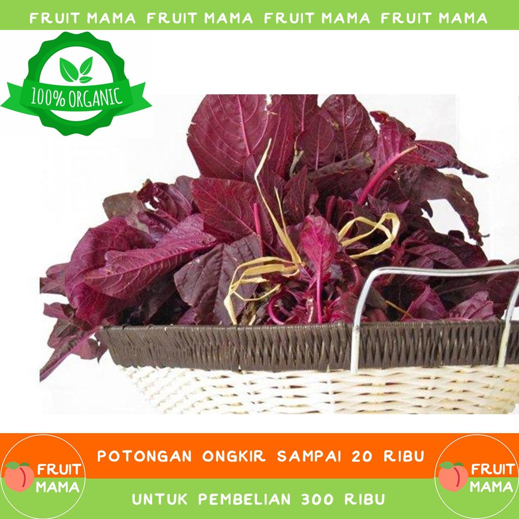 

BAYAM MERAH Organik 250 Gram | Fruit Mama | Buah Impor & Sayur Organik