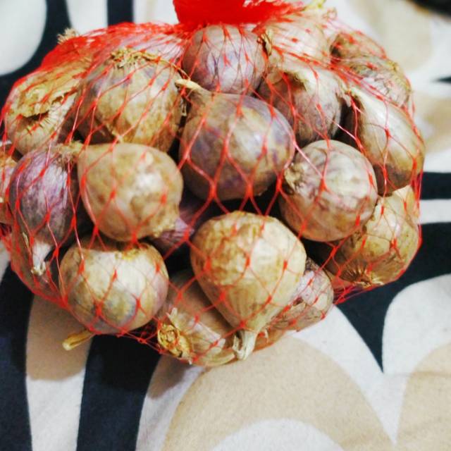 

BAWANG TUNGGAL