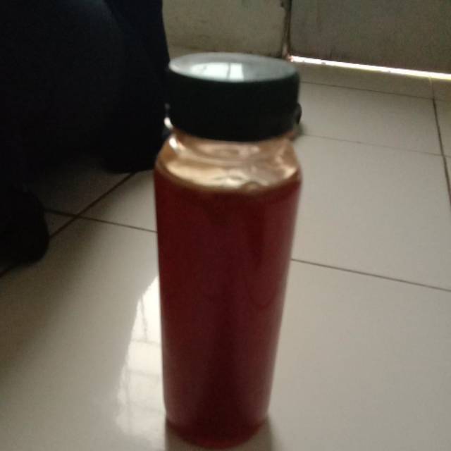 

Madu kelanceng