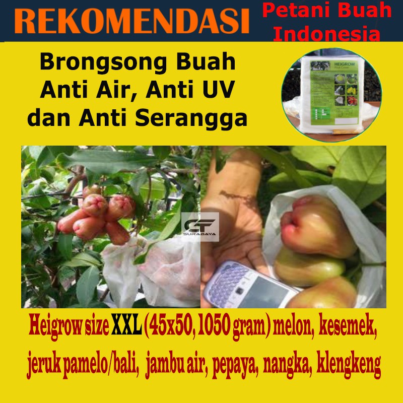 Brongsong Jambu Air Kesemek Pepaya Kelengkeng Nangka Peralatan Berkebun Pembungkus Buah Size XXL